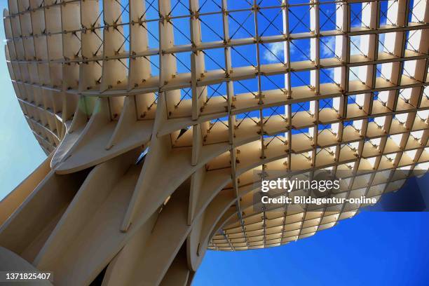 Spain, Andalusia, historic center of Seville, the Metropol Parasol is a work of art on the square Plaza de la Encarnacion.