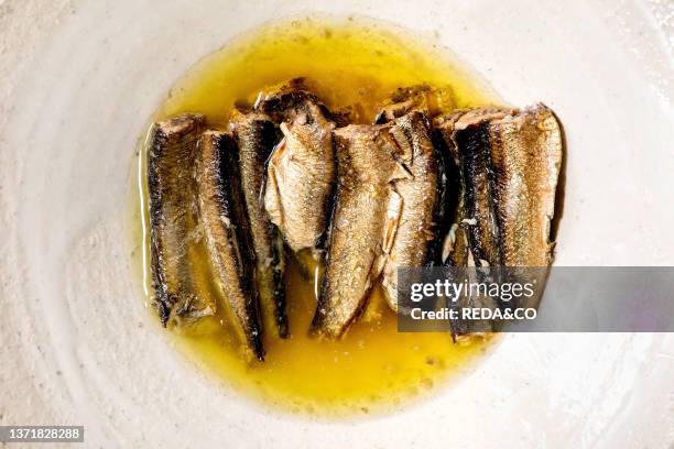 Smoked sardines in oil served in white ceramic plate . Top view. Flat lay. Close up.