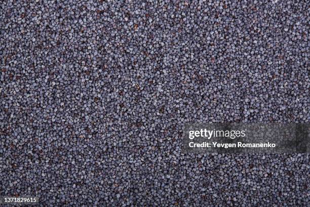 poppy seeds as a background - graine de pavot photos et images de collection