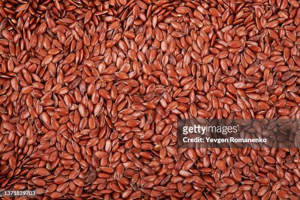 flax seeds as a background - flax plant stock pictures, royalty-free photos & images