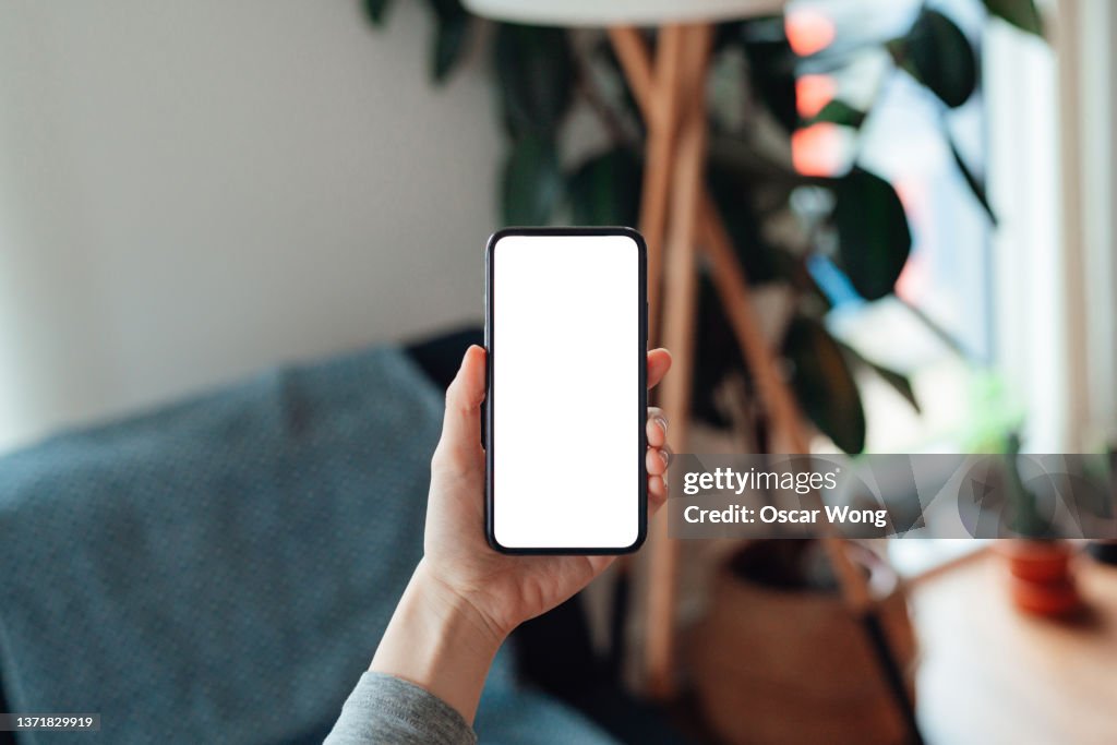 Female hand holding smartphone with blank screen in the living room