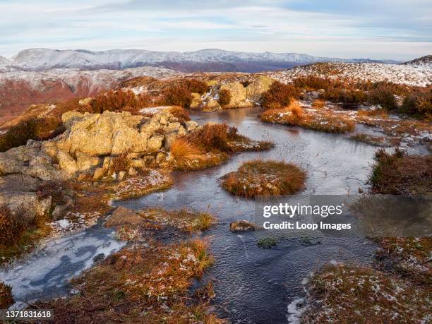 Frozen pool on Lingmoor Fell bathed in warm evening light.