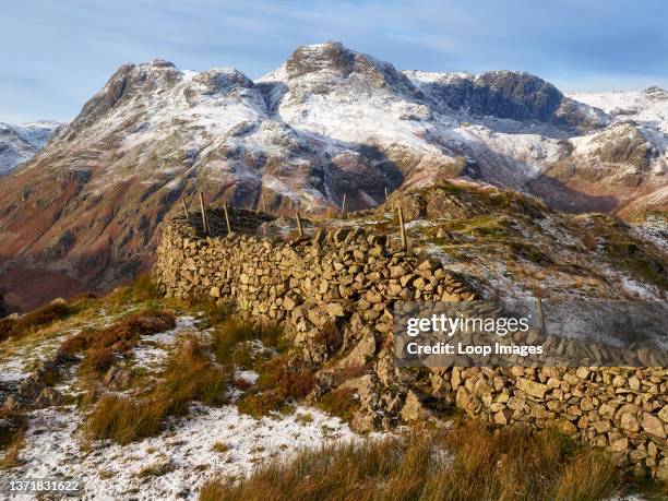 View of the Langdales from Lingmoor Fell with a curving dry stone wall in the foreground.