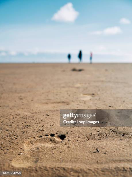 The footprints of a family on the beach on a lovely summer's day.