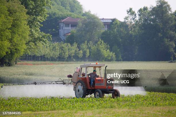 Tractor. Pest Control. Agricultural Work. Countyside. Langhe. Alessandria Province. Piemonte. Italy. Europe Trattore. Disinfestazione. Lavoro...