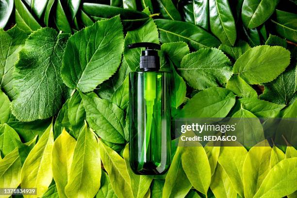 Empty green plastic bottle for soap on background made of green leaves, green gradient, Eco friendly cosmetic product presentation, Place for label,...