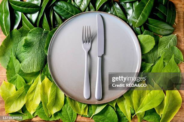 Empty ceramic plate with knife and fork on background made of green leaves, green gradient, Copy space, Empty place for product, Summer menu concept,...