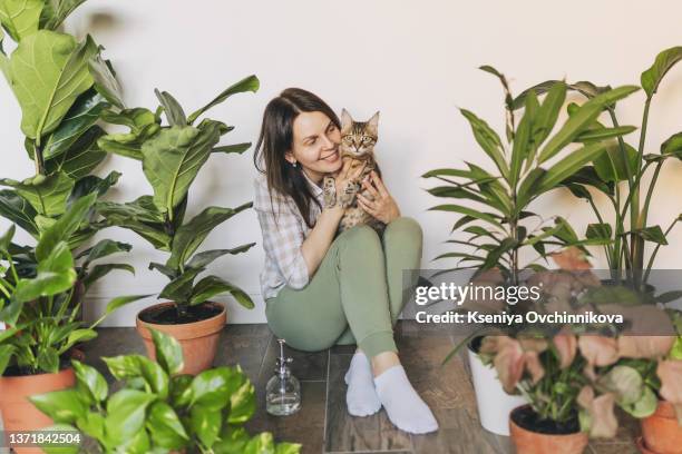 girl gardener with a cat in her arms looking out the window against a background of indoor plants - wohngebäude innenansicht stock-fotos und bilder