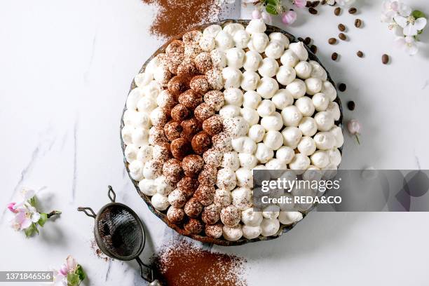 Homemade gluten free tiramisu traditional italian dessert sprinkled with cocoa powder decorated with blooming apple tree and coffee beans over white...