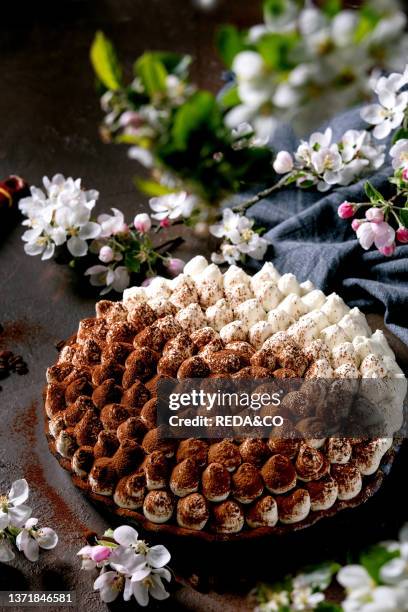 Homemade gluten free tiramisu traditional italian dessert sprinkled with cocoa powder decorated with blooming apple tree. Blue textile napkin and...