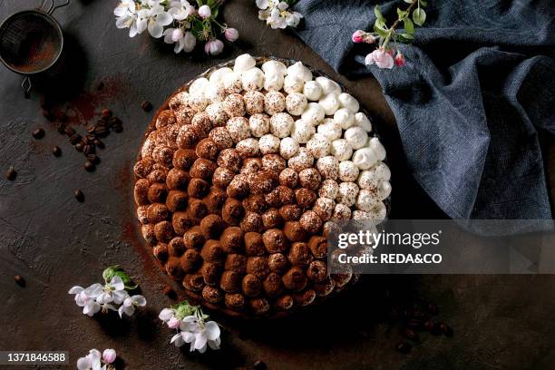 Homemade gluten free tiramisu traditional italian dessert sprinkled with cocoa powder with blooming apple tree. Blue textile napkin and coffee beans...