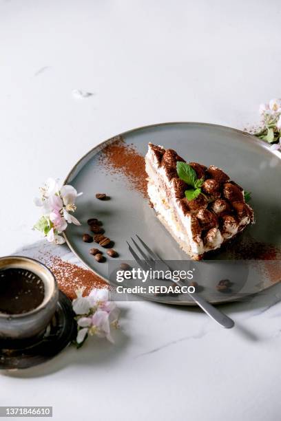 Slice of homemade gluten free tiramisu traditional italian dessert sprinkled with cocoa powder decorated with blooming apple tree. Coffee. Mint...