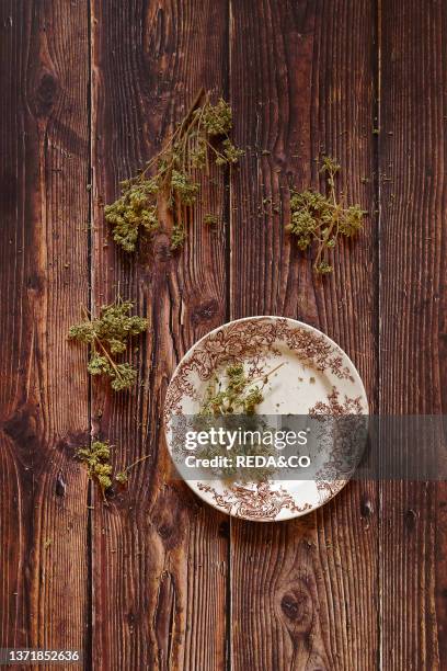 Traditional ingredient of Italian cuisine.origan on a wooden background. Italy. Europe.