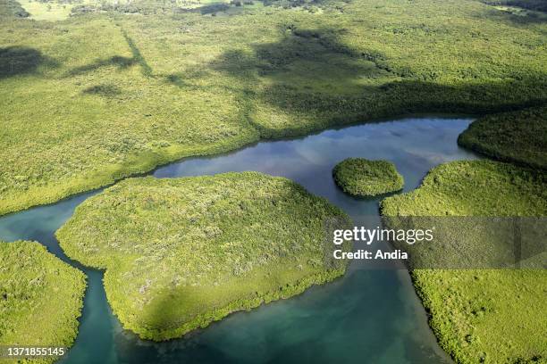 Lesser Antilles Mangroves Photos and Premium High Res Pictures Getty