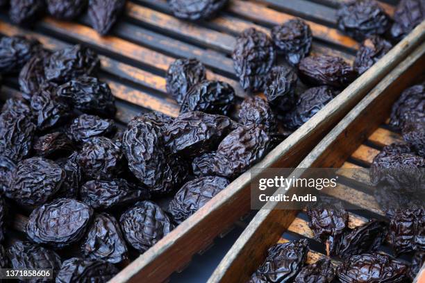 Agen prunes after the drying stage of Ente plums, pruneaux dAgen' dried plums, Protected geographical indication, PGI.
