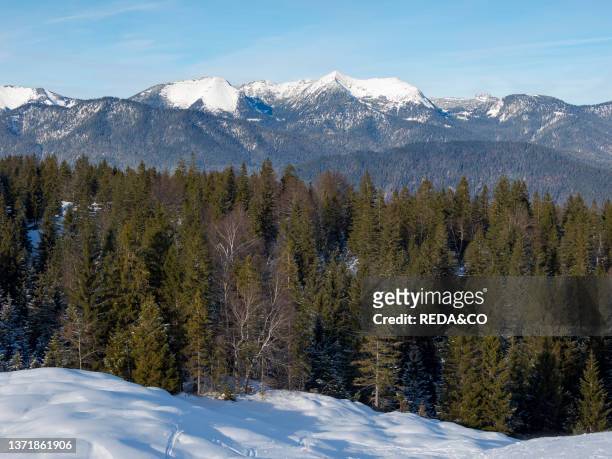 View towards Estergebirge Mts. View from Mt. Kranzberg near Mittenwald during winter. Europe. Germany. Bavaria.