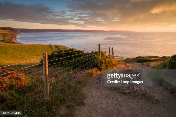 The South West Coast Path along the top of Cornborough Cliffs near Westward Ho! on the North Devon Coast AONB.