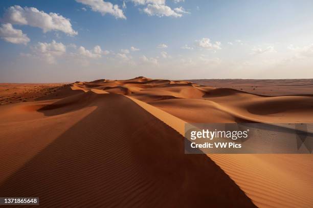 Desert landscape of wind sculpted and rippled sand dunes. Wahiba Sands, Oman..