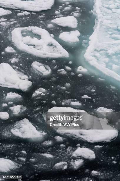 Ice floes in the Arctic ocean. North polar ice cap, Arctic ocean.