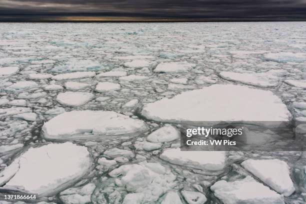 View of melting sea ice on the Arctic ocean. North polar ice cap, Arctic ocean.