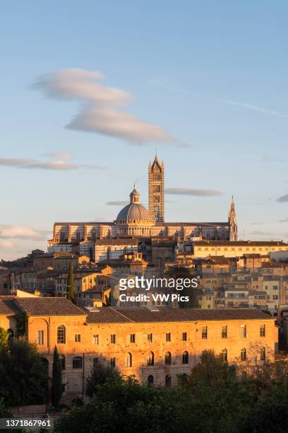 Siena cityscape and the Duomo. Siena, Tuscany, Italy.
