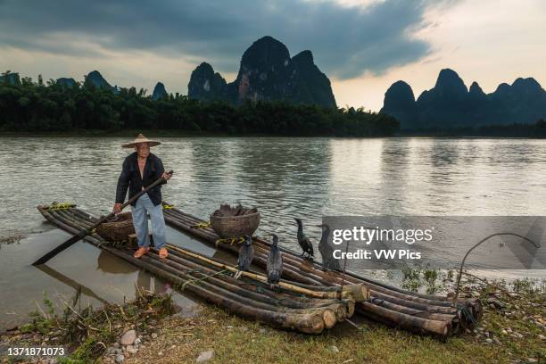 Traditional cormorant fisherman on a bamboo raft with his cormorants on the Li River, Xingping, China..