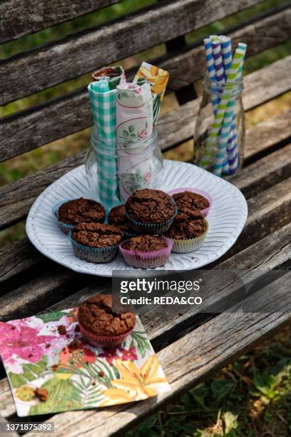 Choco muffin served in white ceramic plate, with paper fantasy napkin and striped straws, vertical, outdoor, sunny day, in a bench.