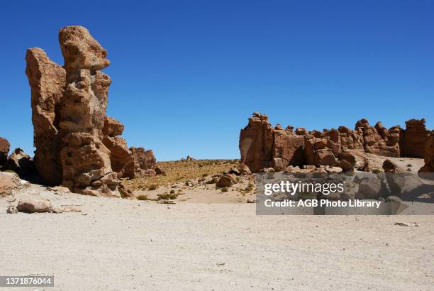 Rock Forest, Desert of Lipez, Department of Potosi, Sud Lipez Province, La Paz, Bolívia .