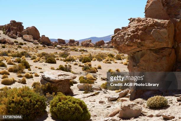 Rock Forest, Desert of Lipez, Department of Potosi, Sud Lipez Province, La Paz, Bolívia .