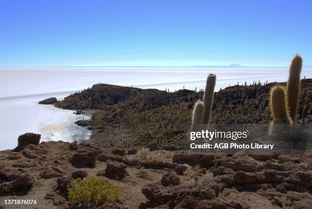 Salar of Uyuni, Desert of Lipez, Department of Potosi, Sud Lipez Province, La Paz, Bolívia .