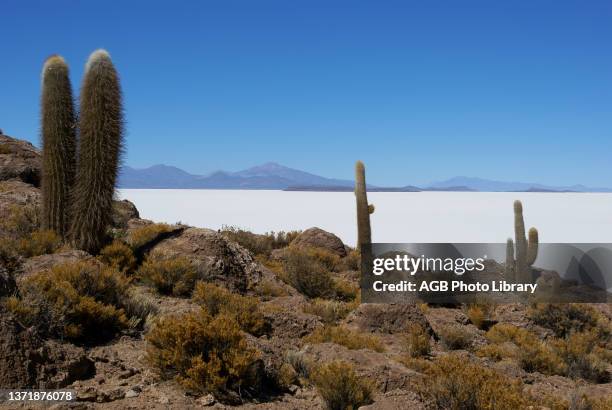 Salar of Uyuni, Desert of Lipez, Department of Potosi, Sud Lipez Province, La Paz, Bolívia .