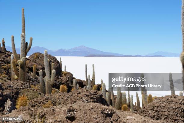 Salar of Uyuni, Desert of Lipez, Department of Potosi, Sud Lipez Province, La Paz, Bolívia .