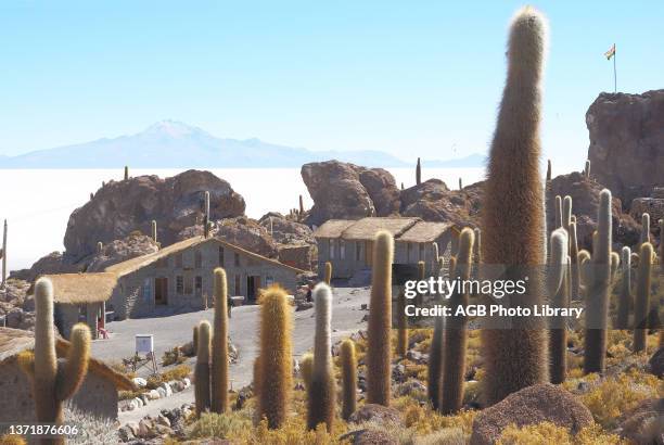 Salar of Uyuni, Desert of Lipez, Department of Potosi, Sud Lipez Province, La Paz, Bolívia .