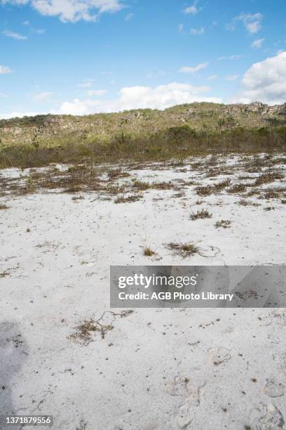 Imagens para composição panorâmica de um depósito sedimentar. Superfície de aplainamento. Surface of Leveling. Vegetação Xerofítica. São Gonçalo do...