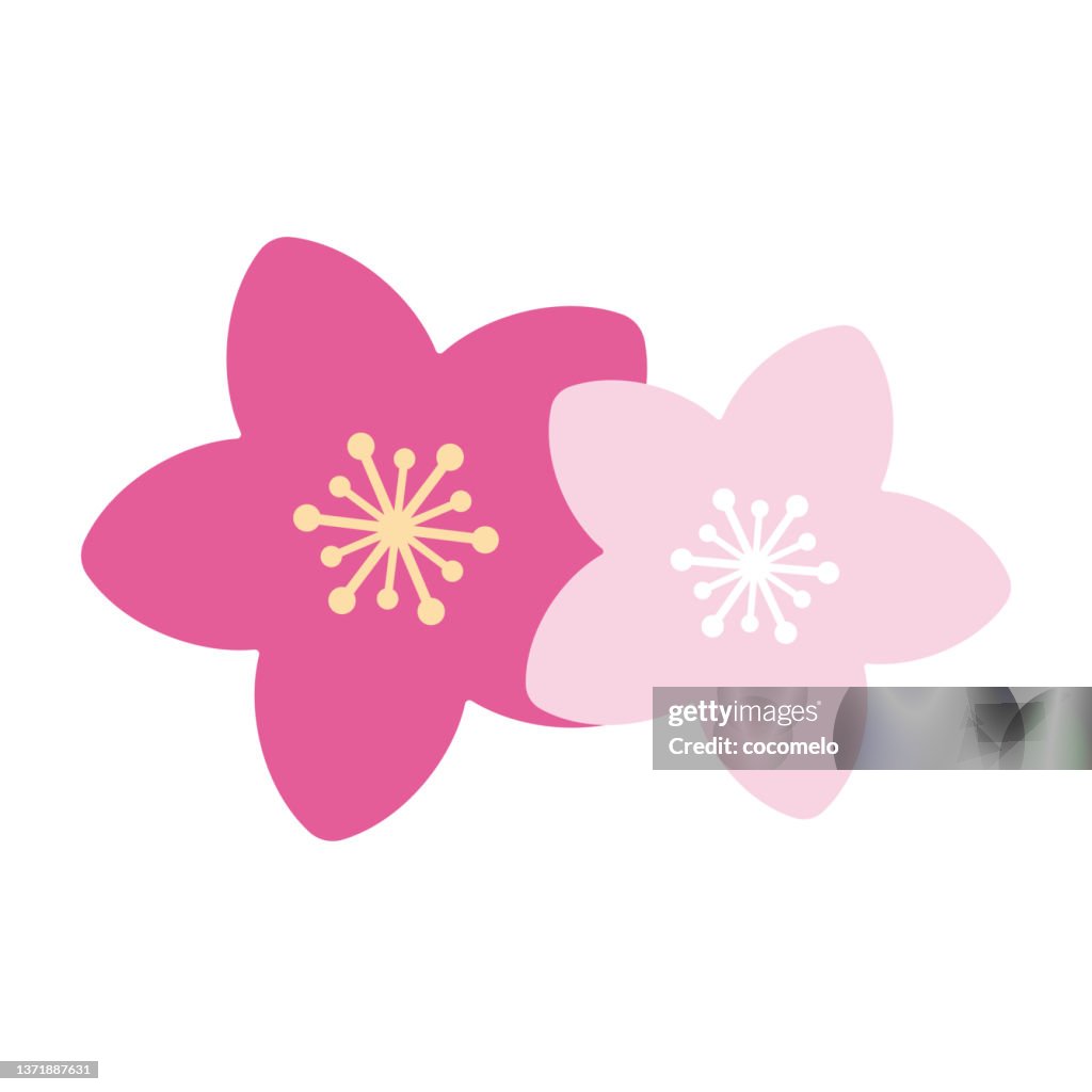 Traditional Japanese Culture. Peach Blossom.