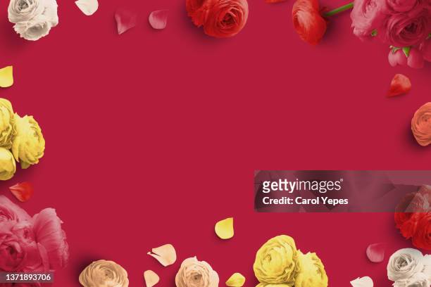 flowers frame top view - wedding card background stock pictures, royalty-free photos & images