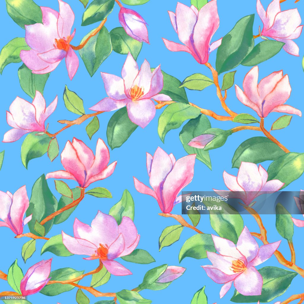 Magnolia flowers and branches on sky blue.
Floral hand-drawn watercolour seamless pattern, background illustration