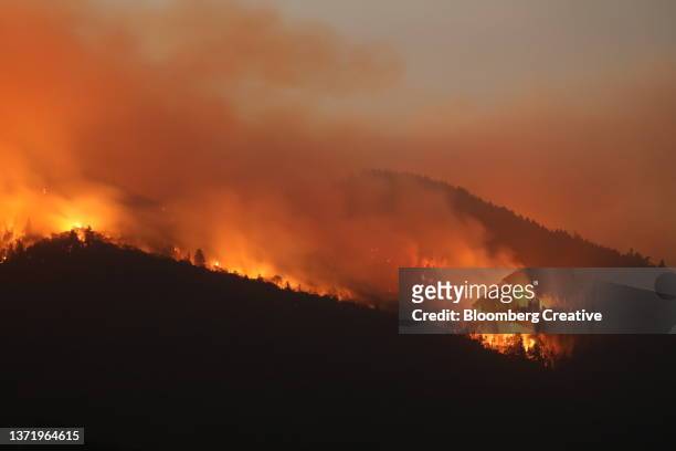california wildfire - forest fire stockfoto's en -beelden