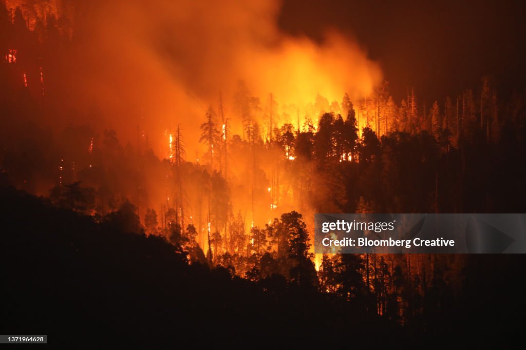 California Wildfire