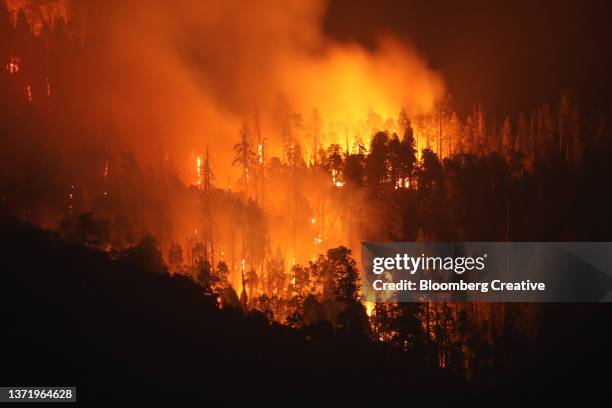 california wildfire - california imagens e fotografias de stock
