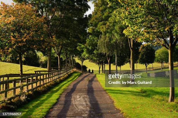 the cotswold way leading out of the village of winchcombe, the cotswolds, england - gloucester england stock-fotos und bilder