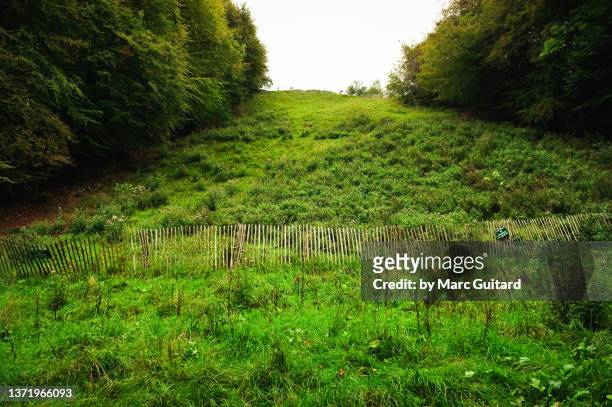cooper's hill, the cotswold way, the cotswolds, england - gloucestershire stock-fotos und bilder