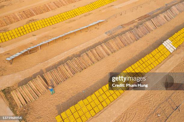 drying rice paper and noodle - rice production stockfoto's en -beelden