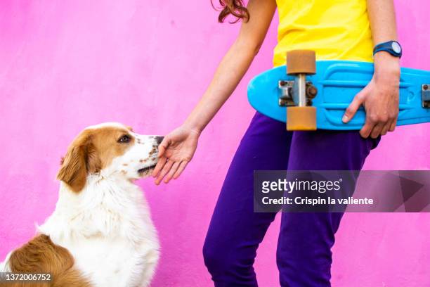 young woman with her labrador retriever, she is carrying a small blue retro skateboard - dog greeting stock pictures, royalty-free photos & images