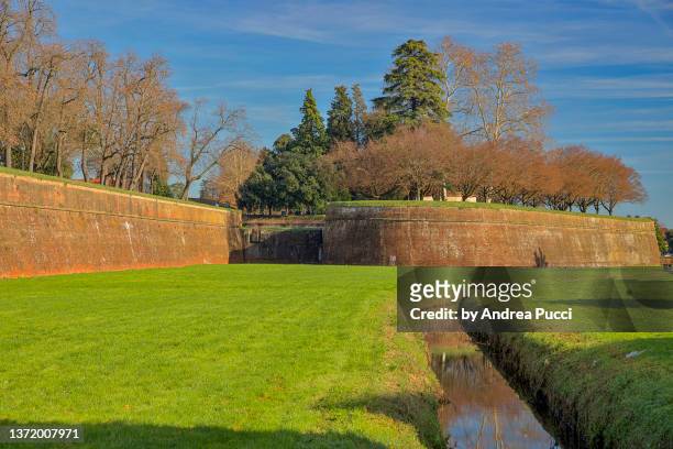 a stretch of the city walls, lucca, tuscany, italy - lucca stock pictures, royalty-free photos & images