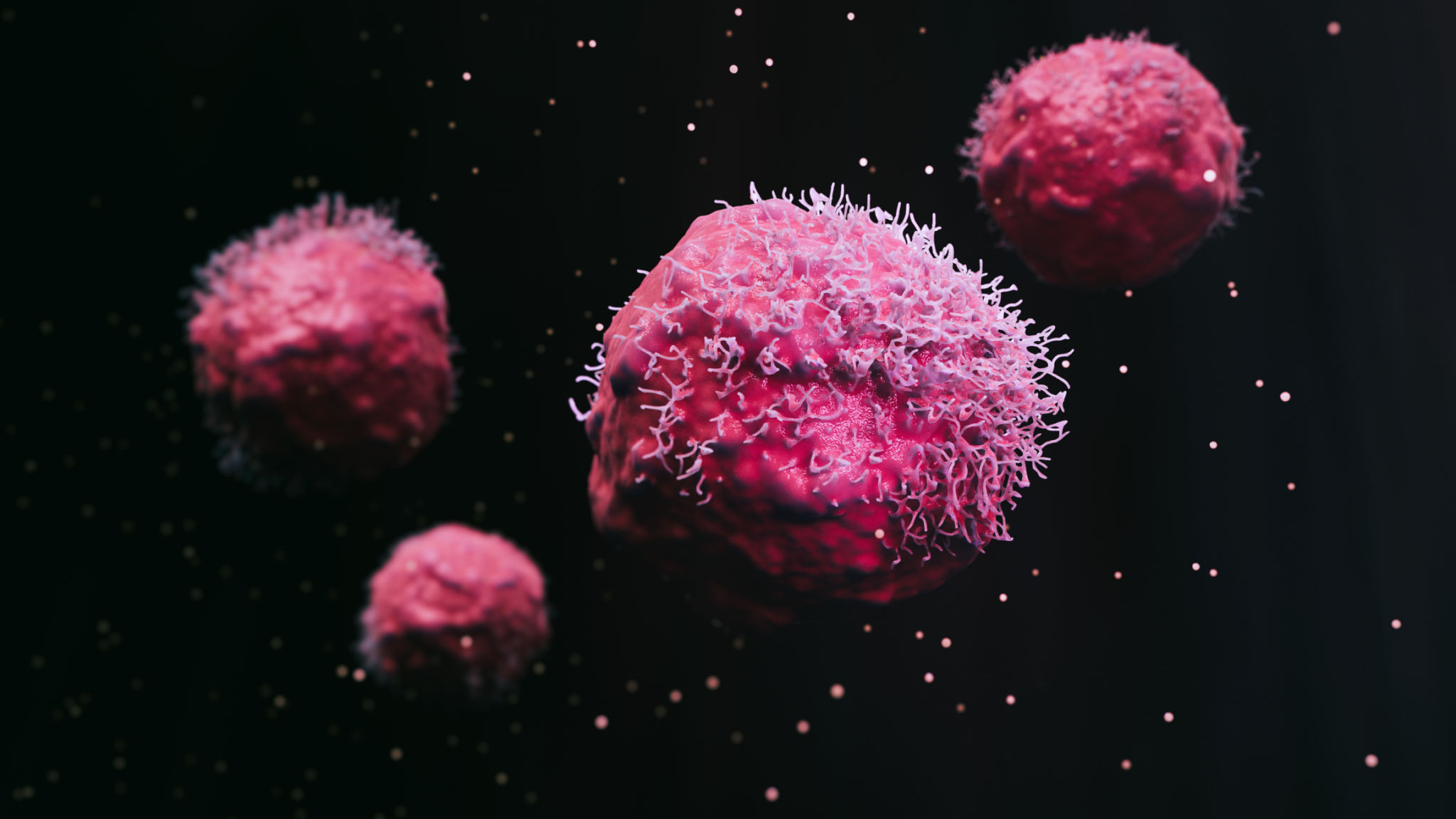 Cancer malignant cells Cancer malignant cells