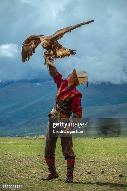 kyrgyz hunter  eagle - 吉爾吉斯 個照片及圖片檔