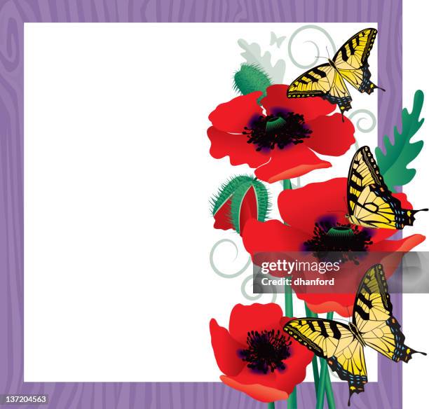 illustrazioni stock, clip art, cartoni animati e icone di tendenza di farfalla di coda forcuta di farfalle poppies e giallo - farfalla a coda di rondine