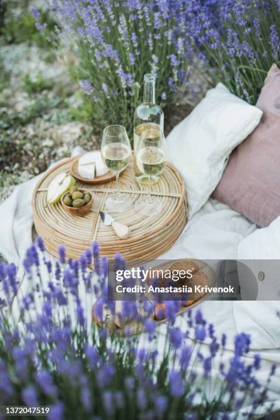 picnic with white dry wine, olives, baguette and camembert cheese in lavender field. - cheese and wine bildbanksfoton och bilder