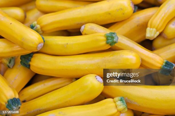gelbe zucchini - sommerkürbis stock-fotos und bilder